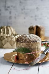 PIROTIN PANETON 500 gr