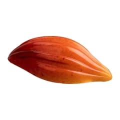 MOLDE POLICARBONATO CACAO