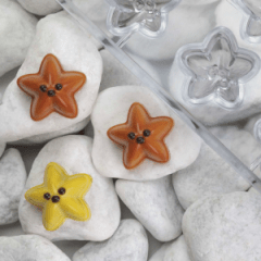 MOLDE POLICARBONATO ESTRELLA DE MAR