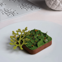BONSAI GG030
