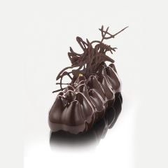 KE046 ANEMONE