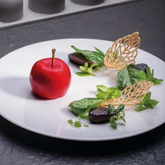 GG036 GALA (MANZANA)
