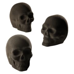 PX43110 CALAVERA