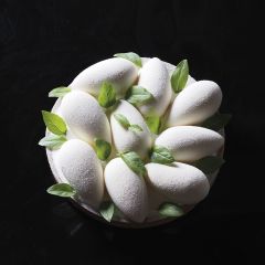 PX073 QUENELLE