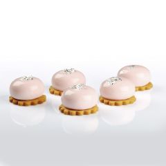 PX4323 PLANET MIGNON