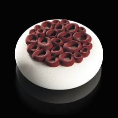 Top MINI CORAL TOP10