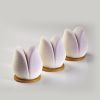 PX4365 TULIP1