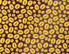 CHOCOTRANSFER SD216SB1