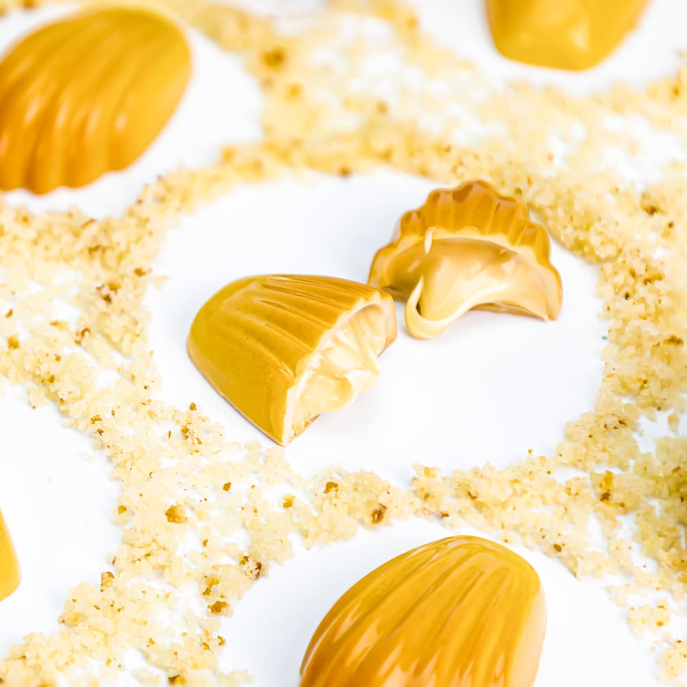 MOLDE POLICARBONATO MADELEINE 21MA10713