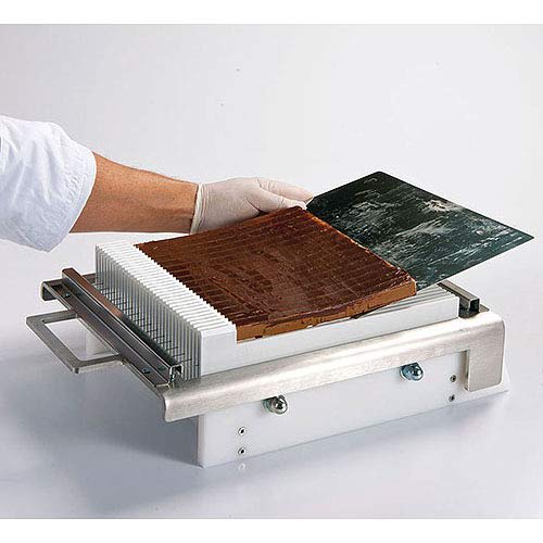 KIT MINI GUITARRA DE CORTE1