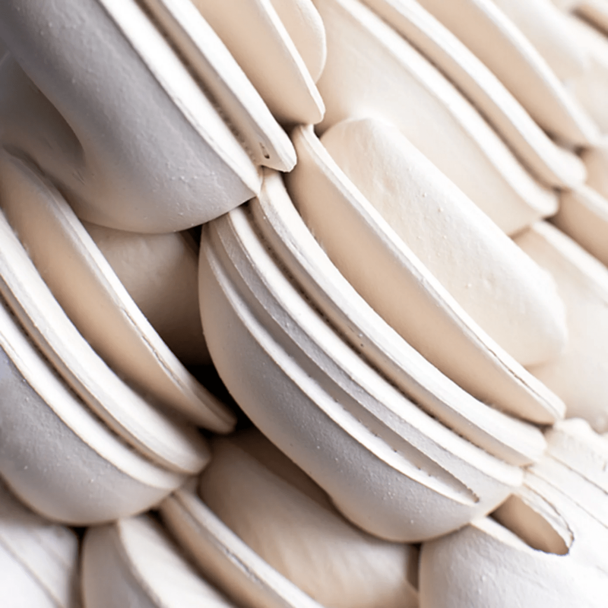 JOYBASE ROYAL CREAM 501