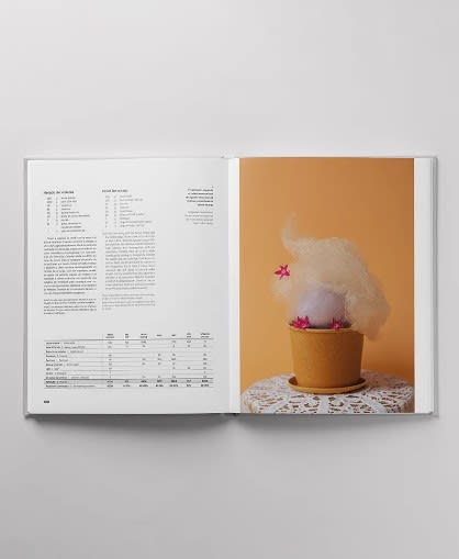 Libro ESSENCE JESUS ESCALERA6