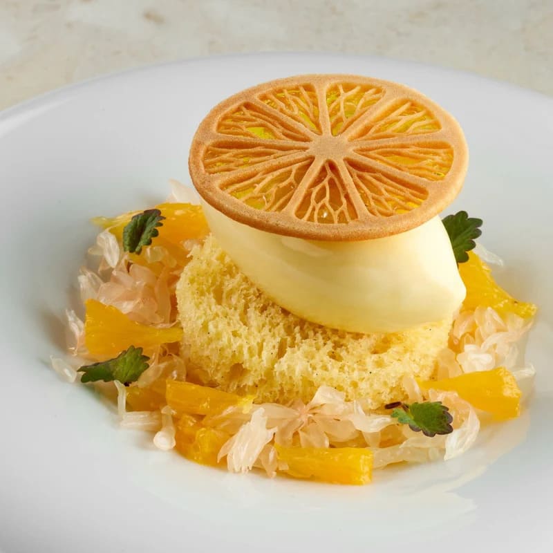 GOURMAND CITRUS GG078S3