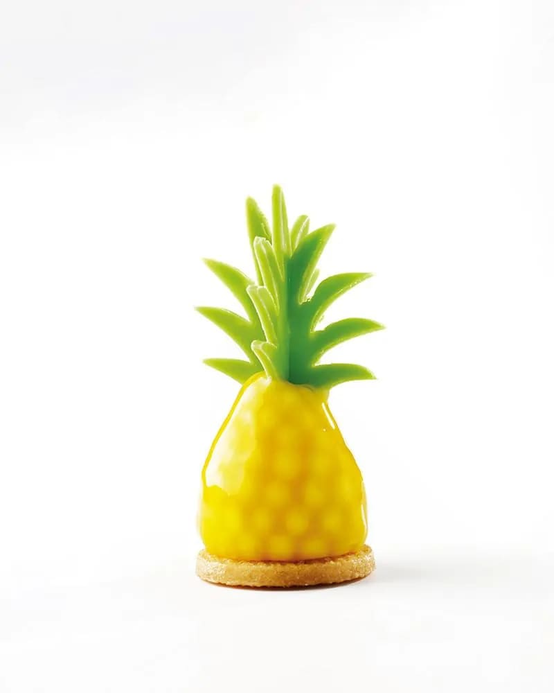 MINI BY XAVI DONNAY4