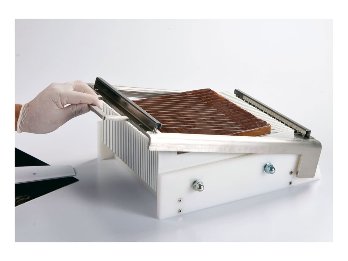 KIT MINI GUITARRA DE CORTE3