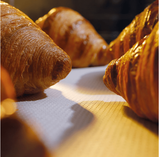 MICROPAPER 51MP60402