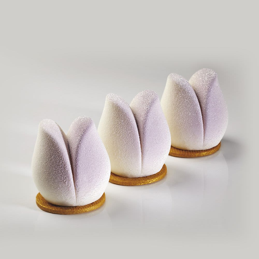 PX4365 TULIP1