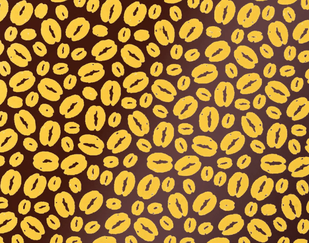 CHOCOTRANSFER SD216SB1