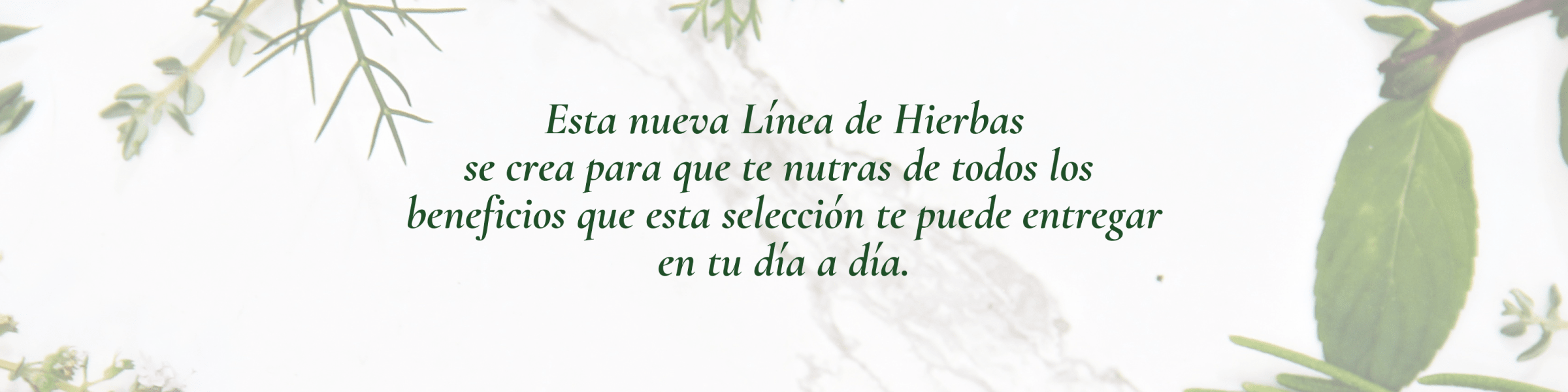 HIERBAS
