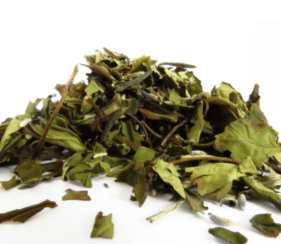 Blanco Lavanda