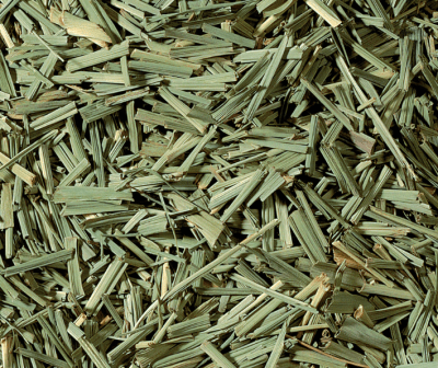 Lemongrass
