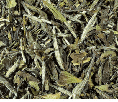 Té Blanco Pai Mu Tan