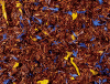 Rooibos Paraíso1