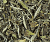 Té Blanco Pai Mu Tan1
