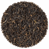 Darjeeling1