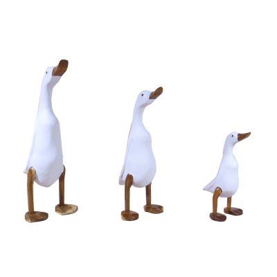 Pato blanco Pato blanco