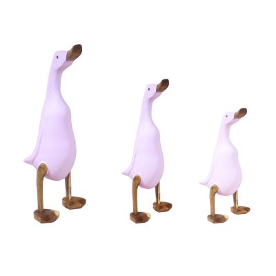 Pato rosado Pato rosado