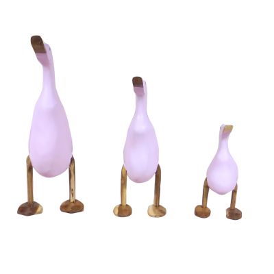 Pato rosado Pato rosado