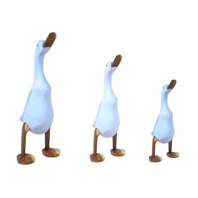 Pato azul agua Pato azul agua