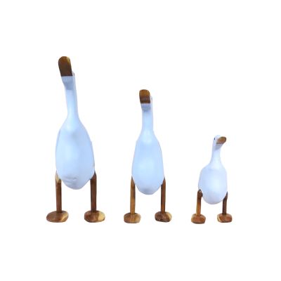 Pato azul agua Pato azul agua