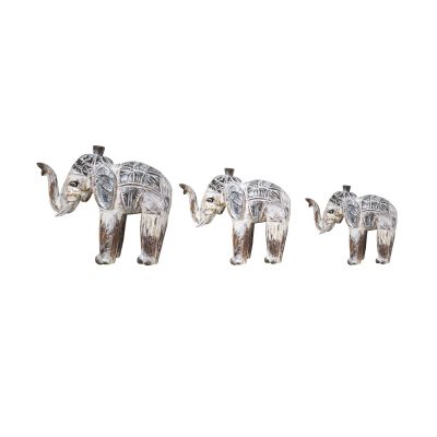 Elefante Indonésico blanco Elefante Indonésico blanco