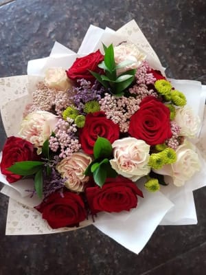 Clásico de Rosas M Clásico de Rosas M