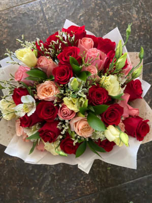 Clásico de Rosas XL Clásico de Rosas XL