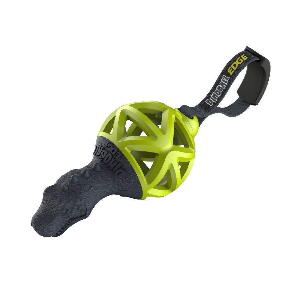 Gigwi Dinoball Edge Medium Gigwi Dinoball Edge Medium