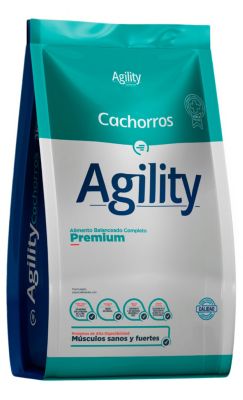 Agility Perro Cachorro Agility Perro Cachorro
