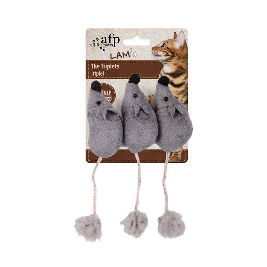 AFP Cat Lamb Triplets Mice AFP Cat Lamb Triplets Mice