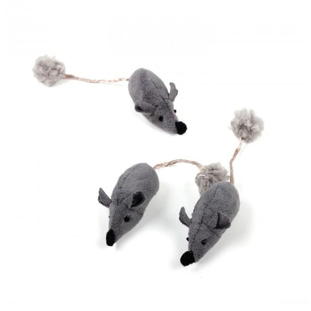 AFP Cat Lamb Triplets Mice AFP Cat Lamb Triplets Mice