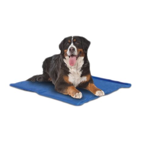 Mascan Cool Mat Mascan Cool Mat