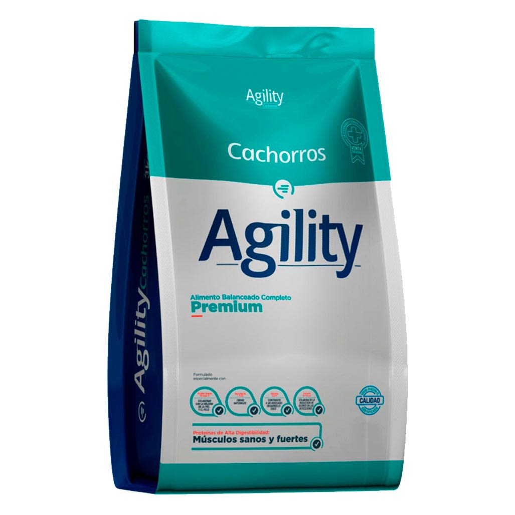 Agility Perro Cachorro Agility Perro Cachorro