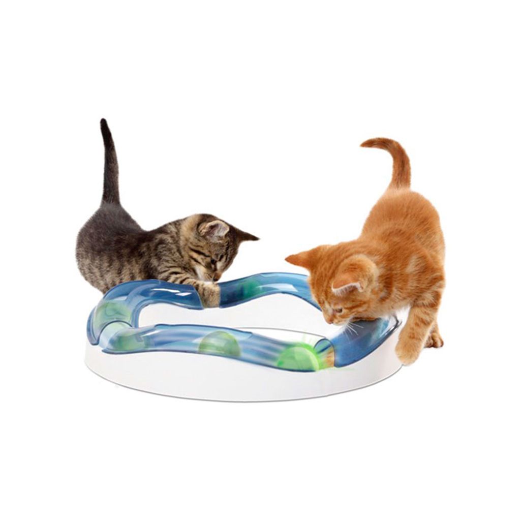 Cat it Senses Speed Circuit Cat it Senses Speed Circuit