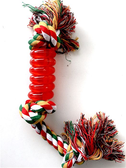 Todopet Cordel Con Anillos Rojos Todopet Cordel Con Anillos Rojos