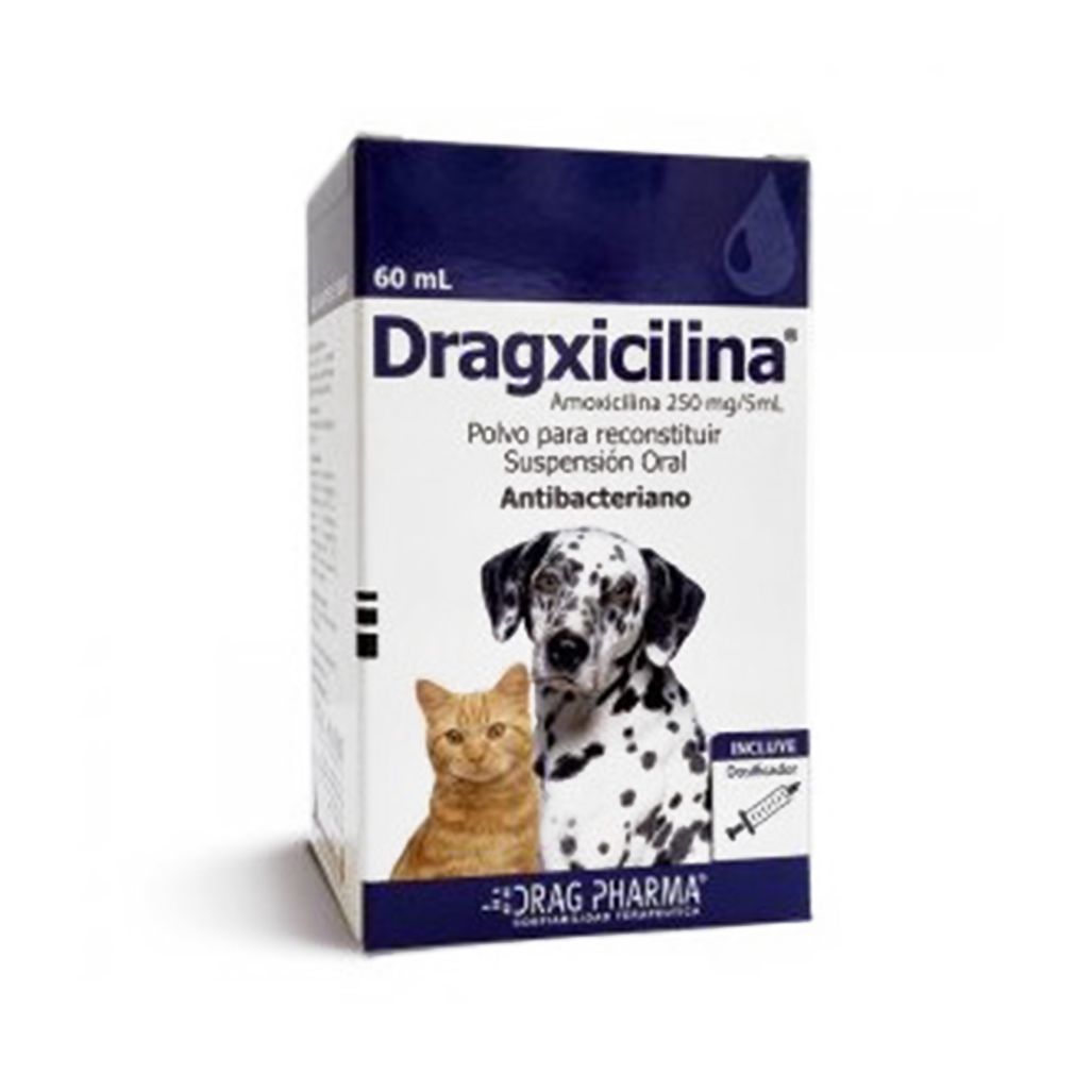 Dragxicilina Suspensión Oral 60 ML Dragxicilina Suspensión Oral 60 ML