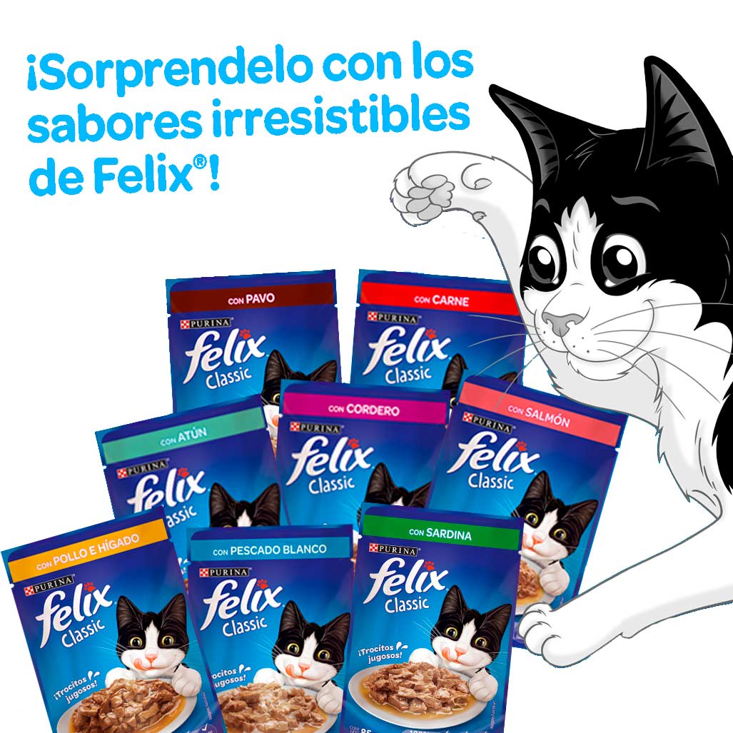 Felix Pouch 85 g Perruqueria Los mejores alimentos y accesorios