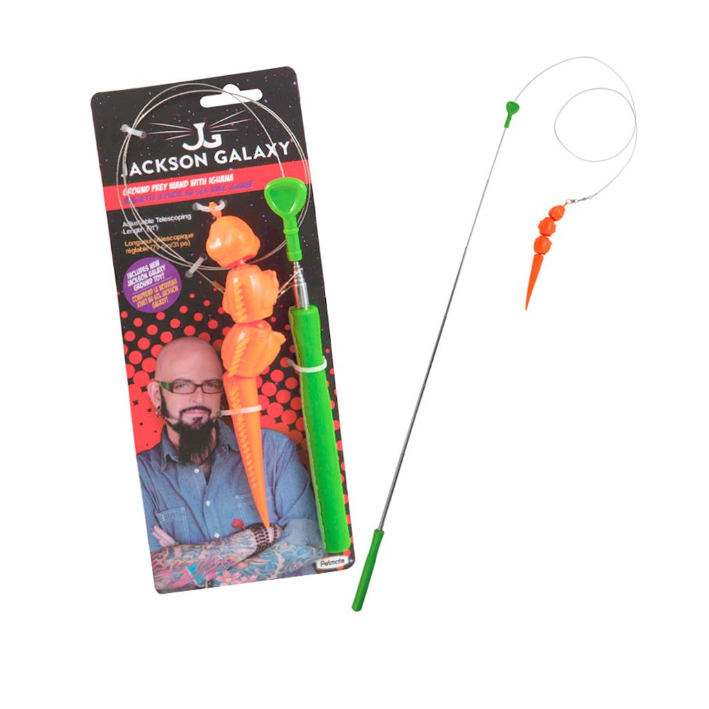 Jackson Galaxy Ground Wand Iguana Jackson Galaxy Ground Wand Iguana