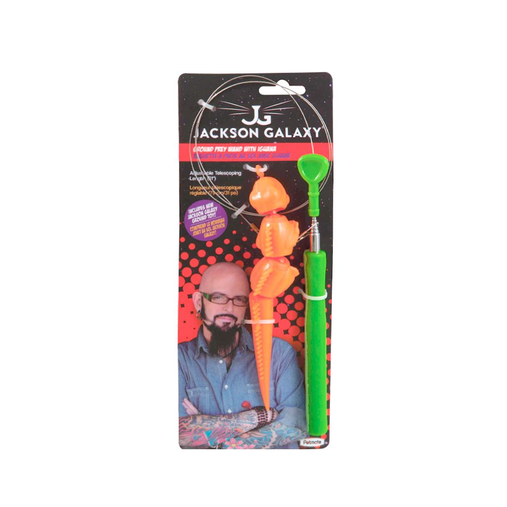 Jackson Galaxy Ground Wand Iguana Jackson Galaxy Ground Wand Iguana