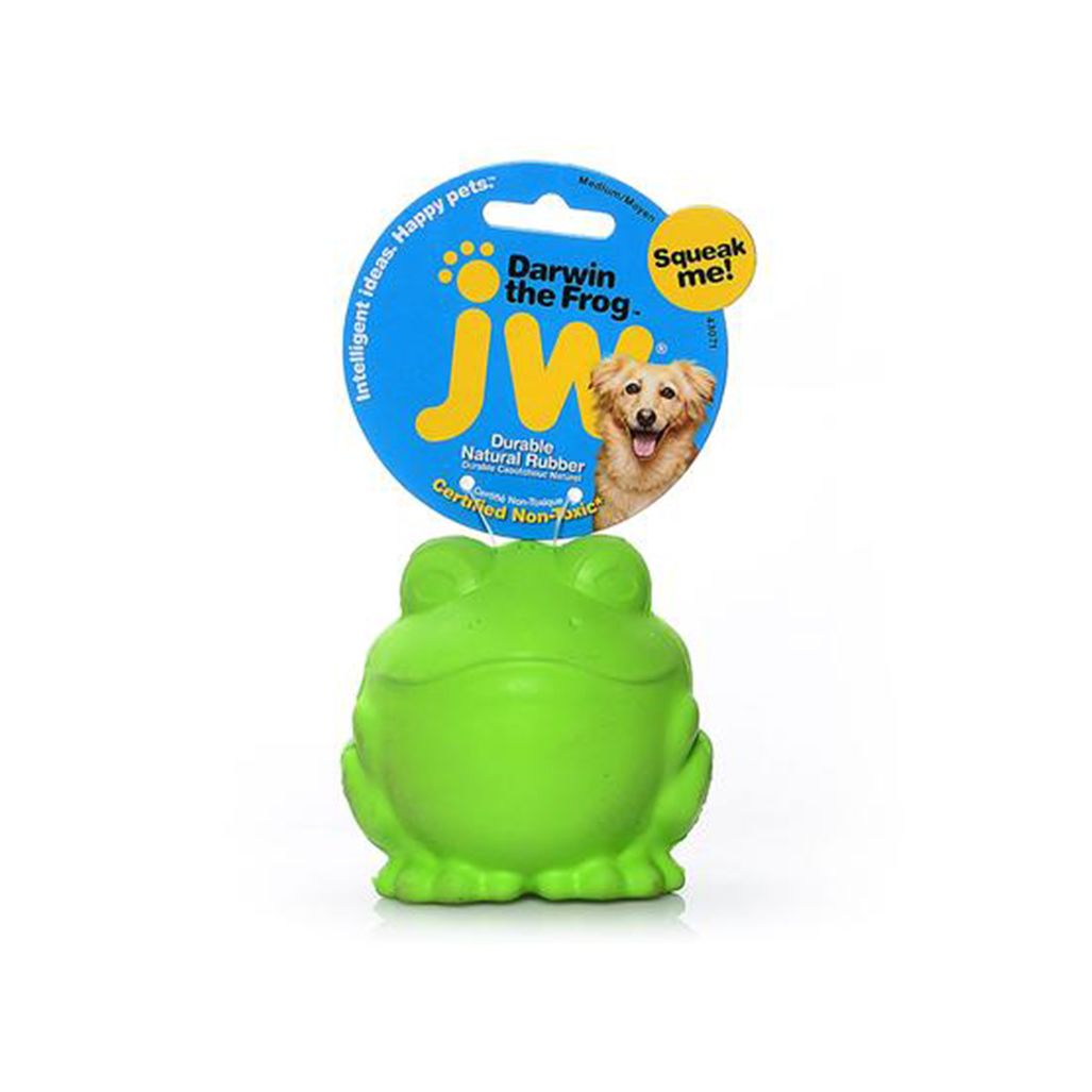 JW Darwin The Frog JW Darwin The Frog